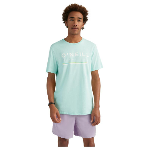 O'neill Ανδρική κοντομάνικη μπλούζα Arrowhead T-Shirt